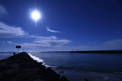 DSC_0853 (Large).JPG